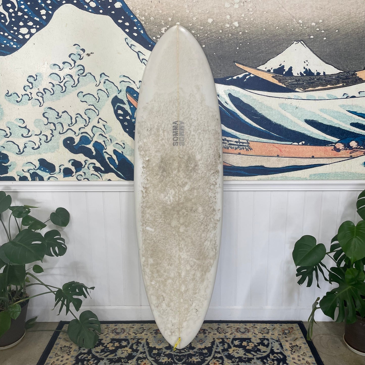 RENTAL | Somma - 6'0" Panza Pintail Twinzer