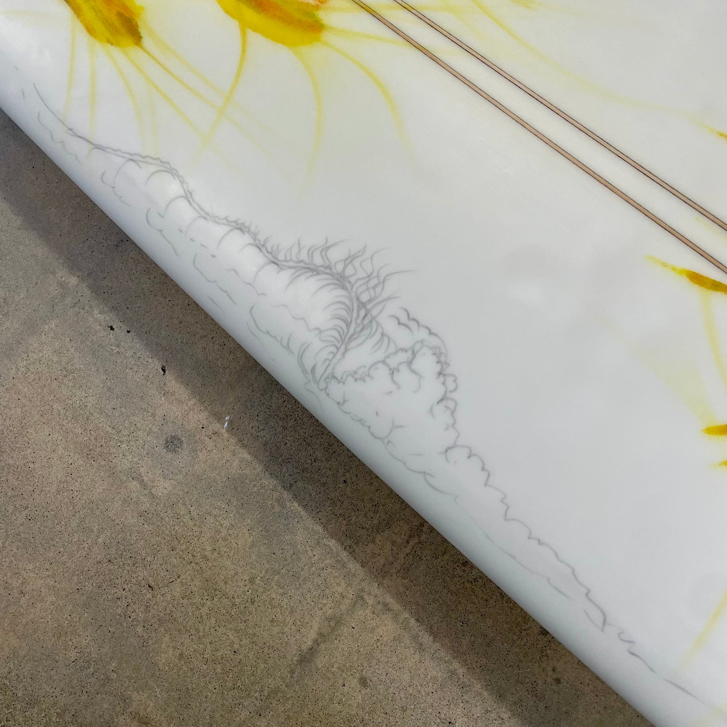 Used Paul Carter | 9'6" Longboard