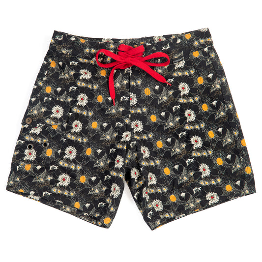 Nineplus Boardshorts | Lined Canvas | Black
