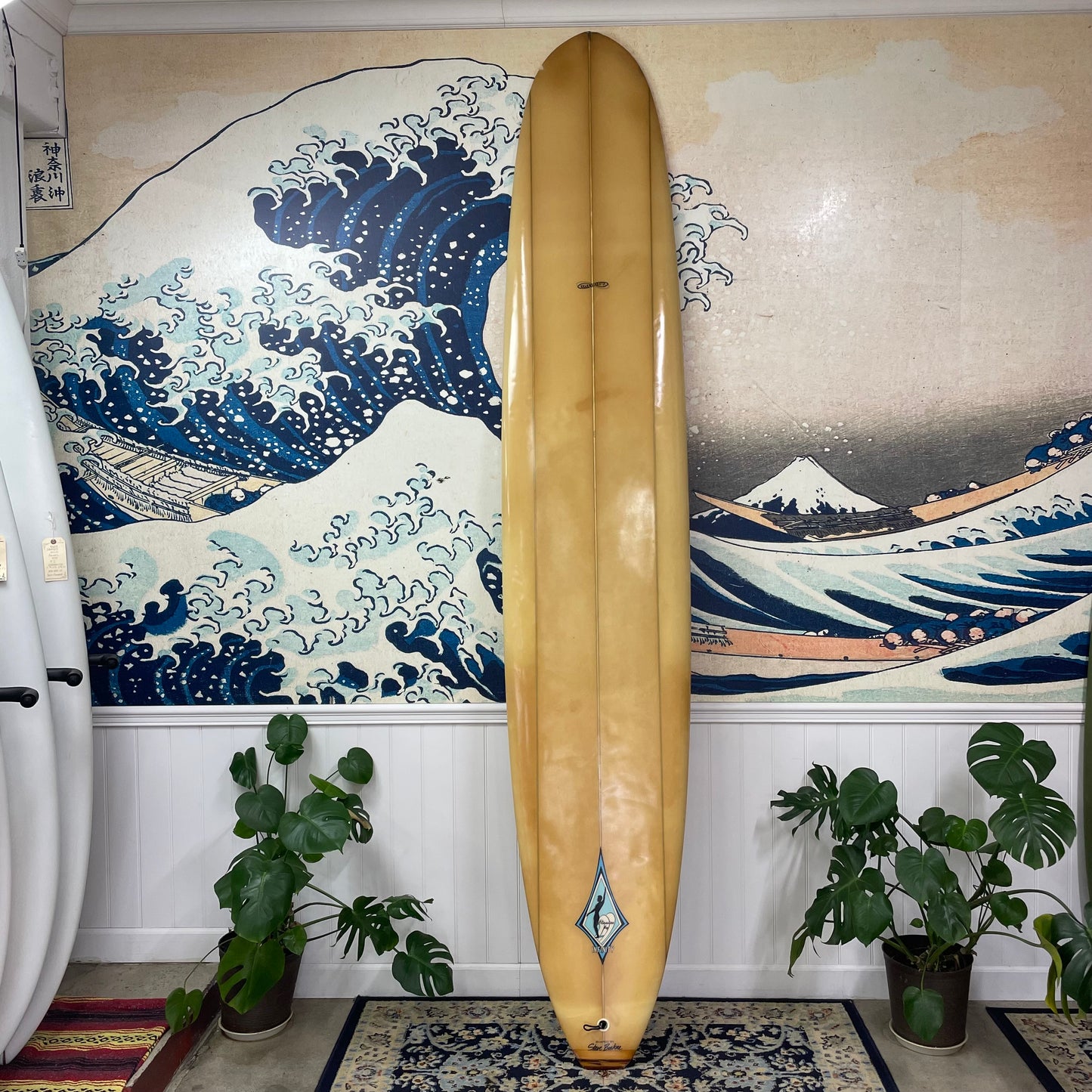 Used Vintage 10'0" Infinity Longboard