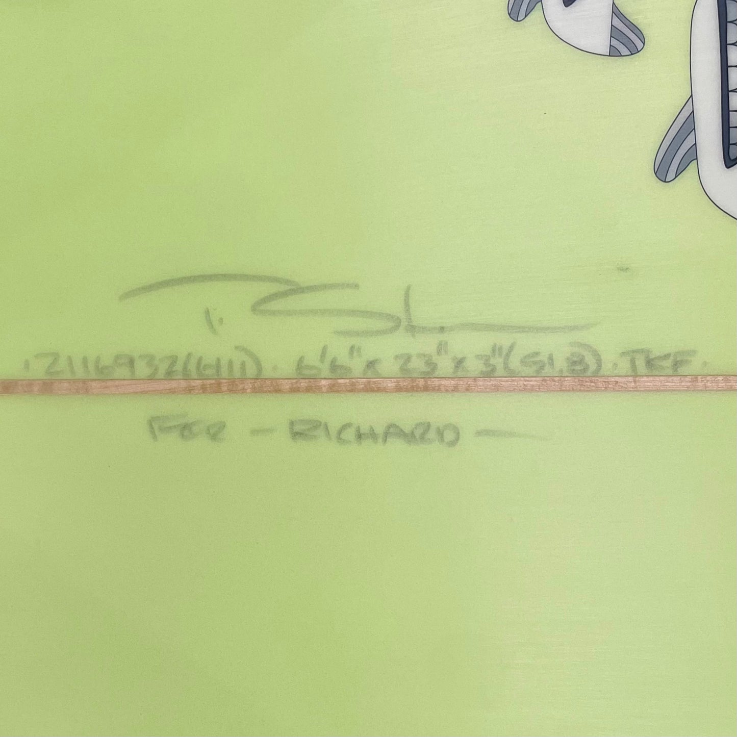 Used Chuck Dent  | 6'6" Stamps Fish