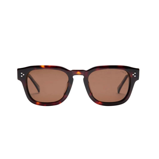 I-SEA | Camden | Tort/Brown Polarized
