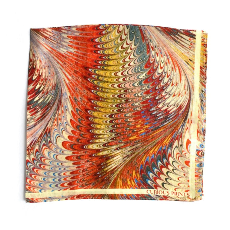 Curious Prints | Silk Scarf