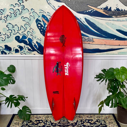 Used Zippi Fish | 5'4 Fish