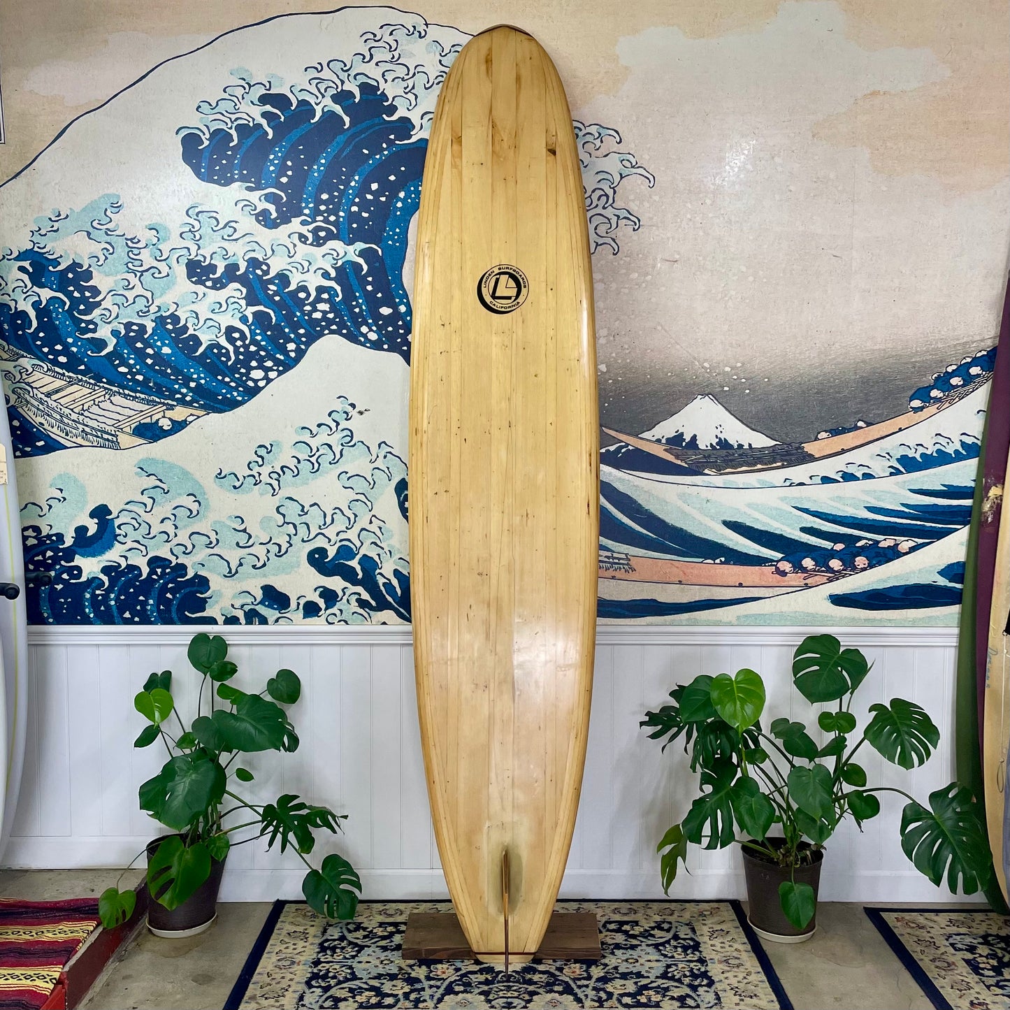Used Linden | 9'8 Balsa