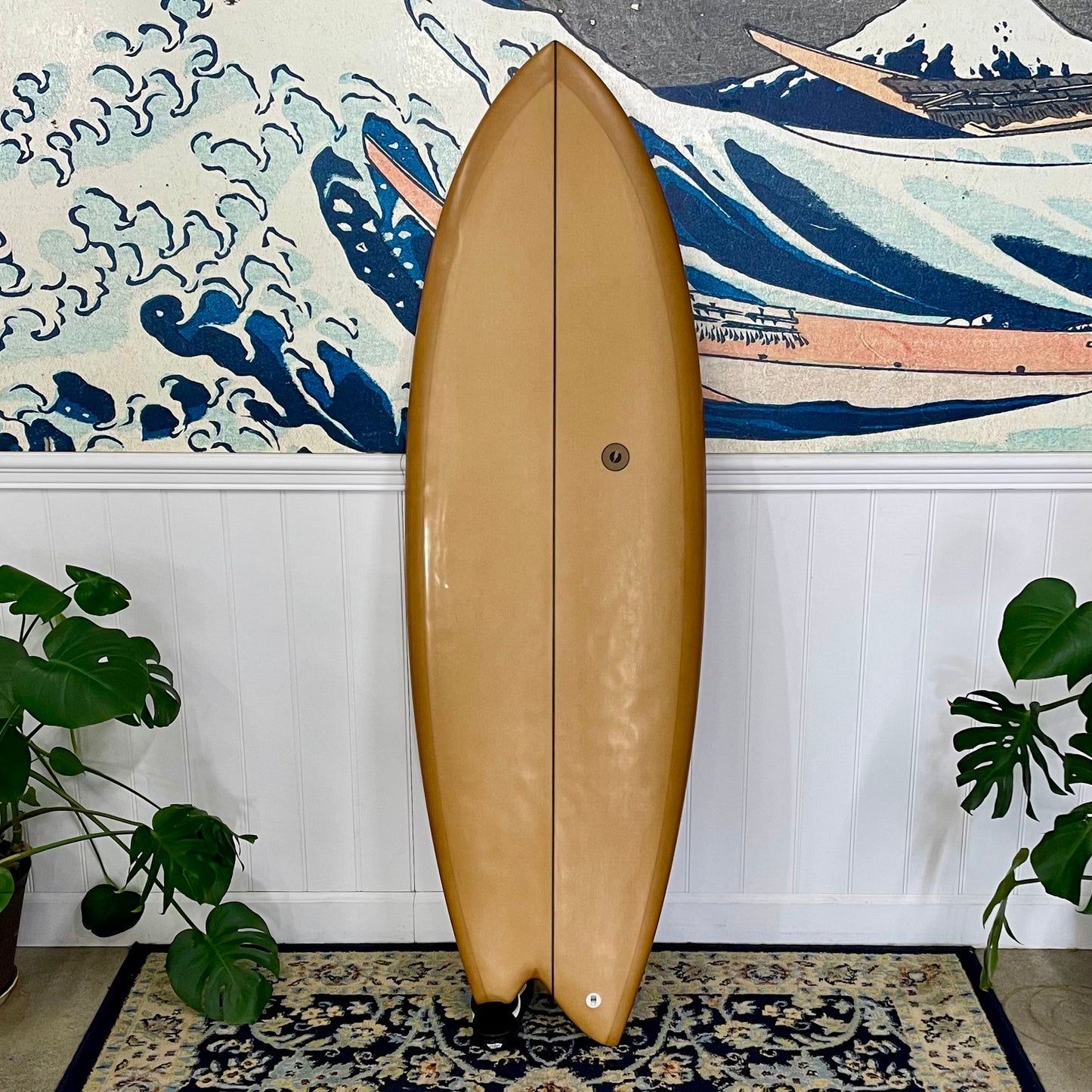 Used Album | 5'4 Fascination regular foot