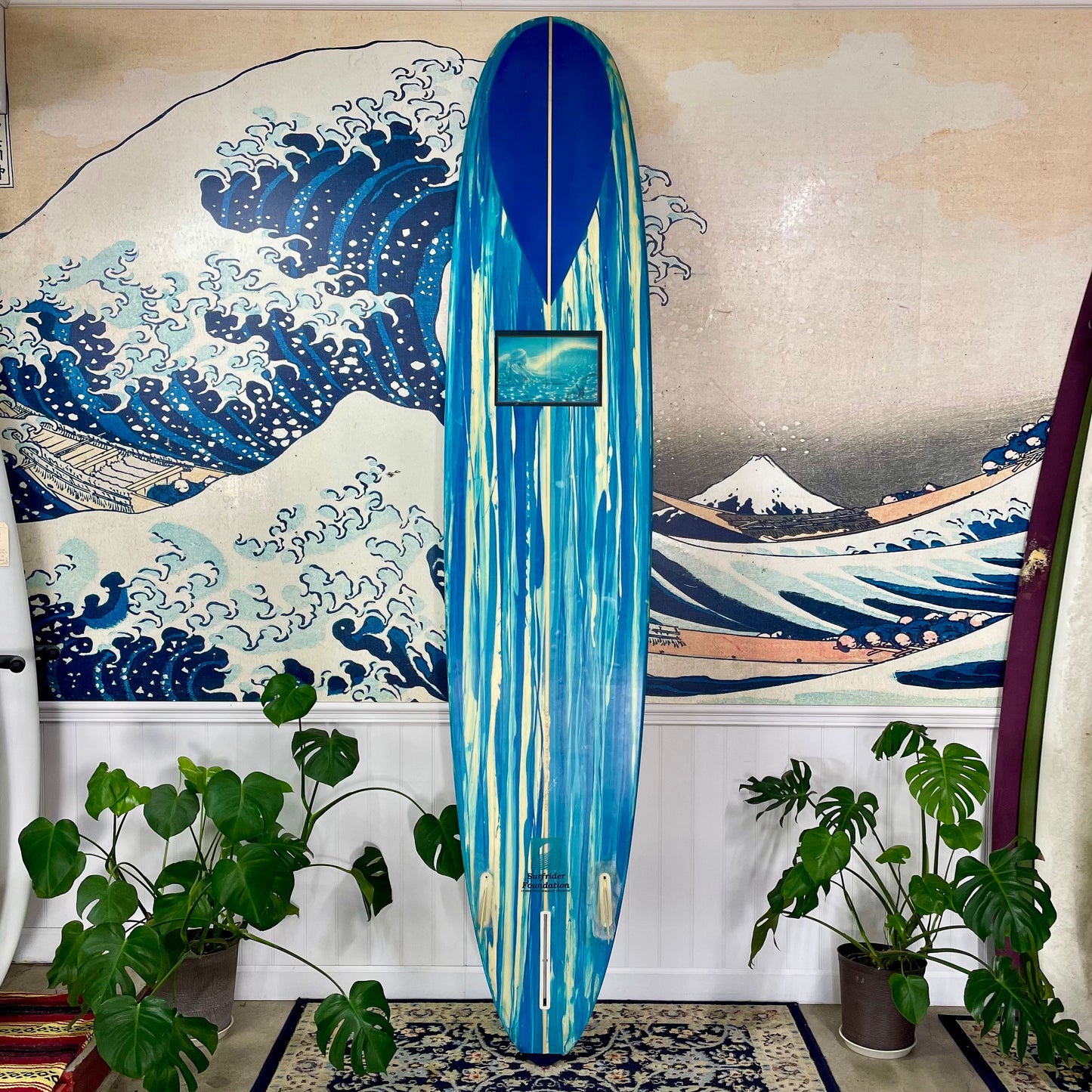 Used Stewart | 10'0" Custom Abstract Pintail