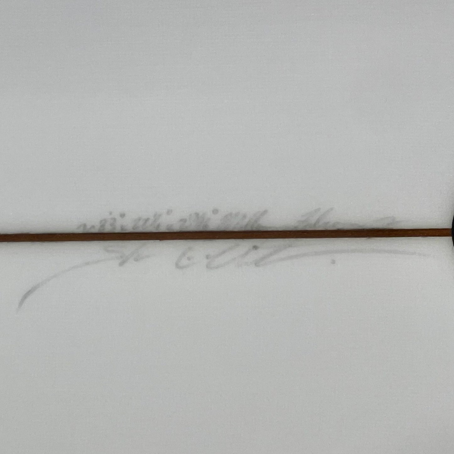 Chocolate Fish | 8'3 Golden Ticket