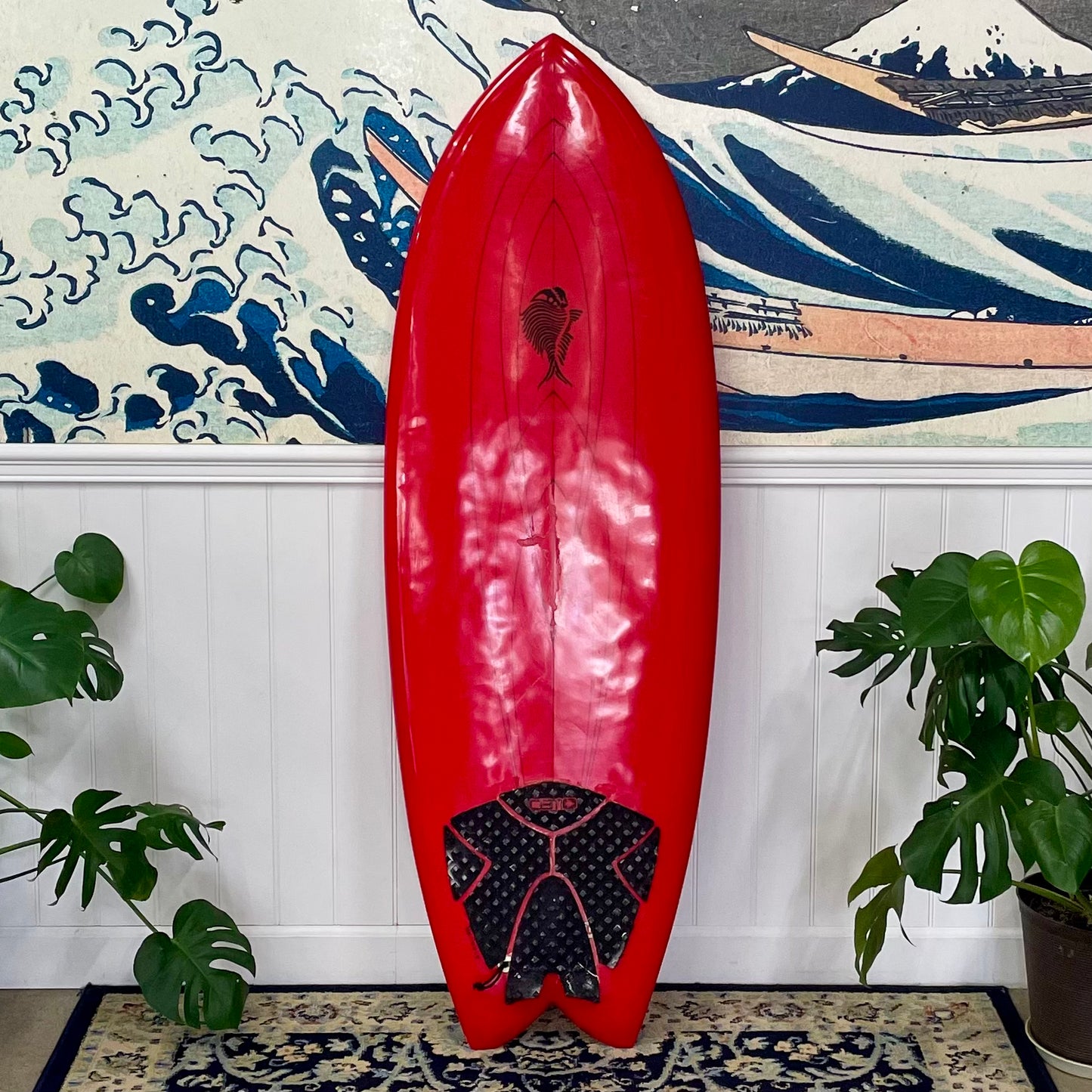 Used Zippi Fish | 5'4 Fish