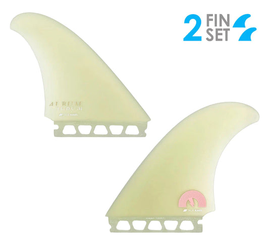 True Ames | Album Gemini Twin