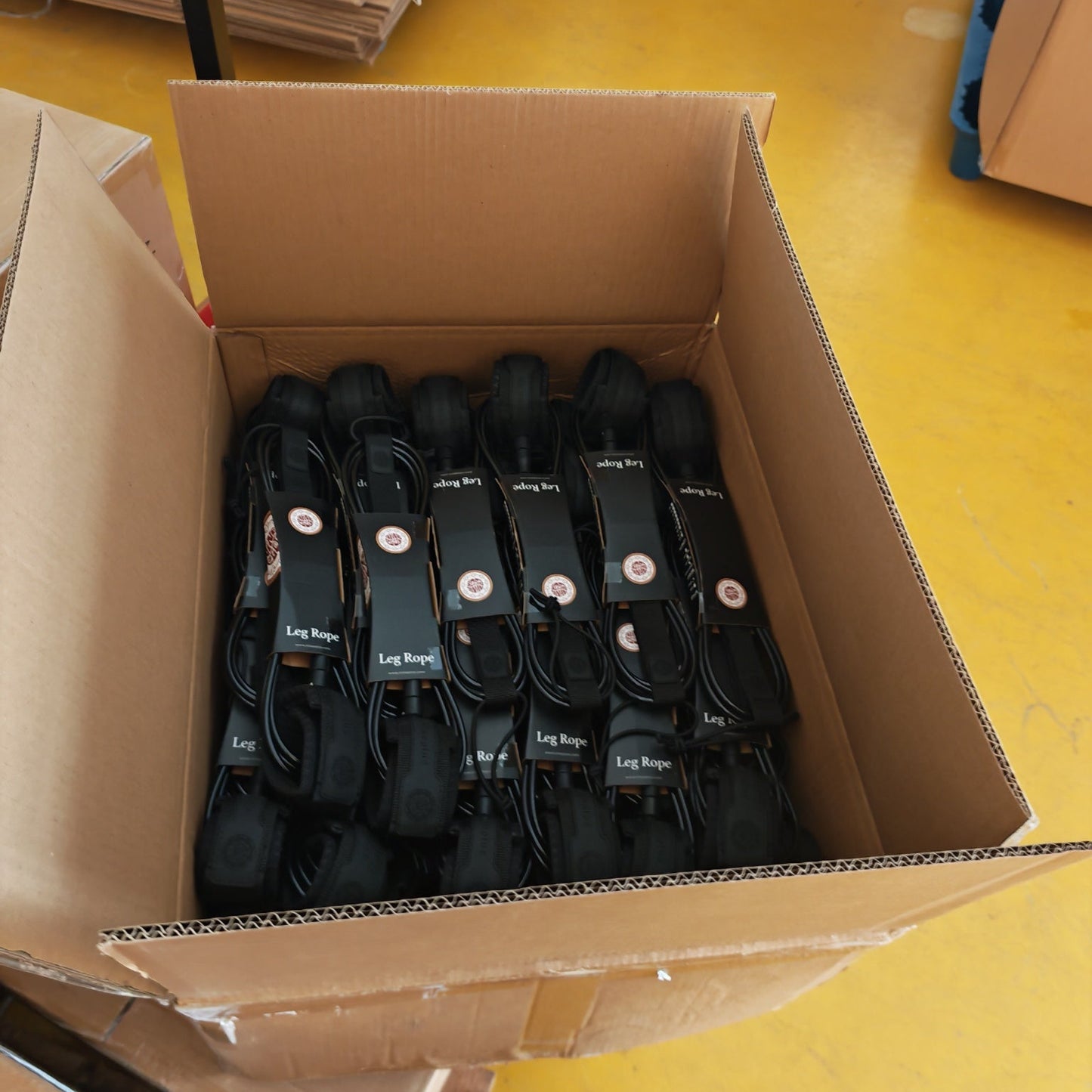 Nineplus Leash | All Sizes