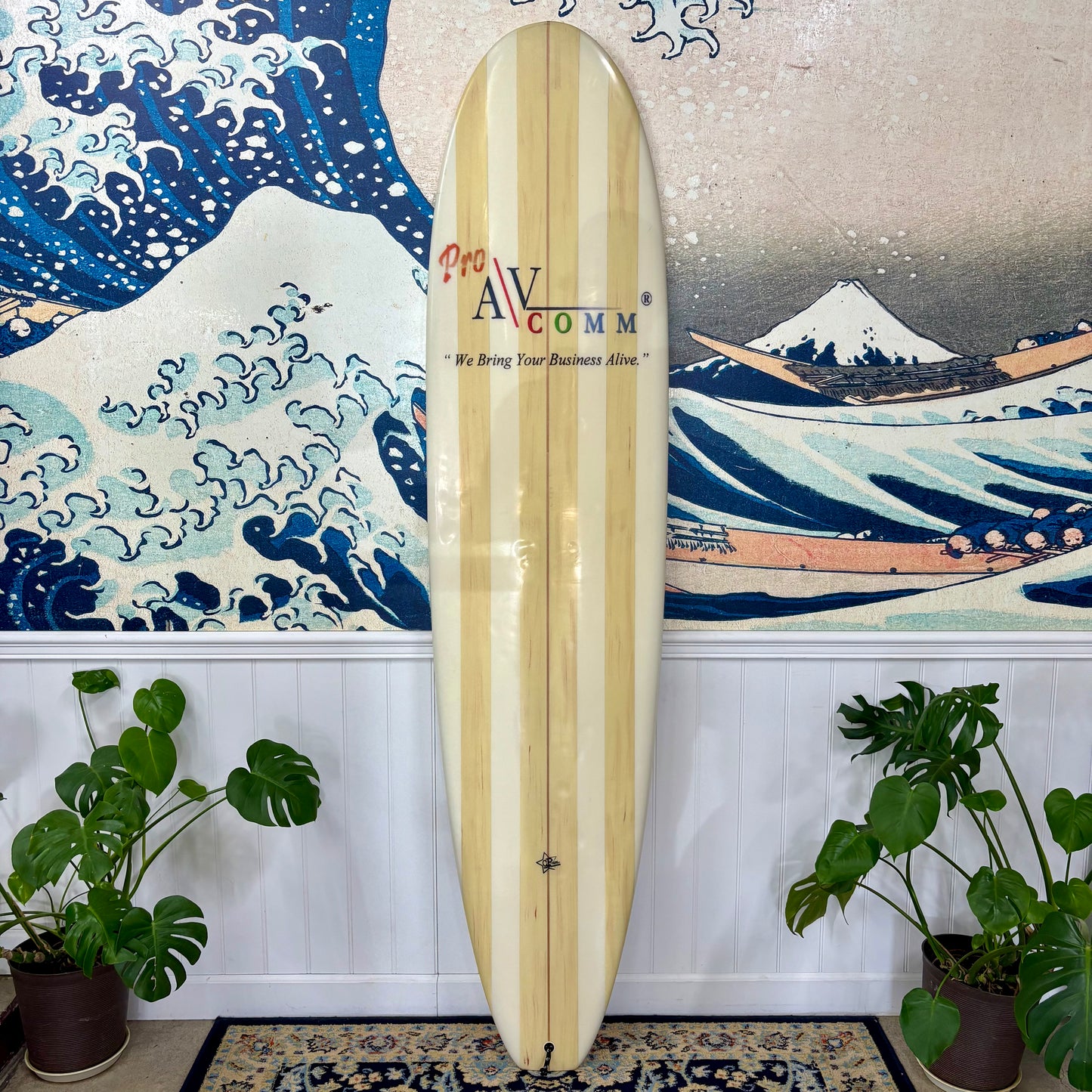 Used Provost | 7'4" Egg