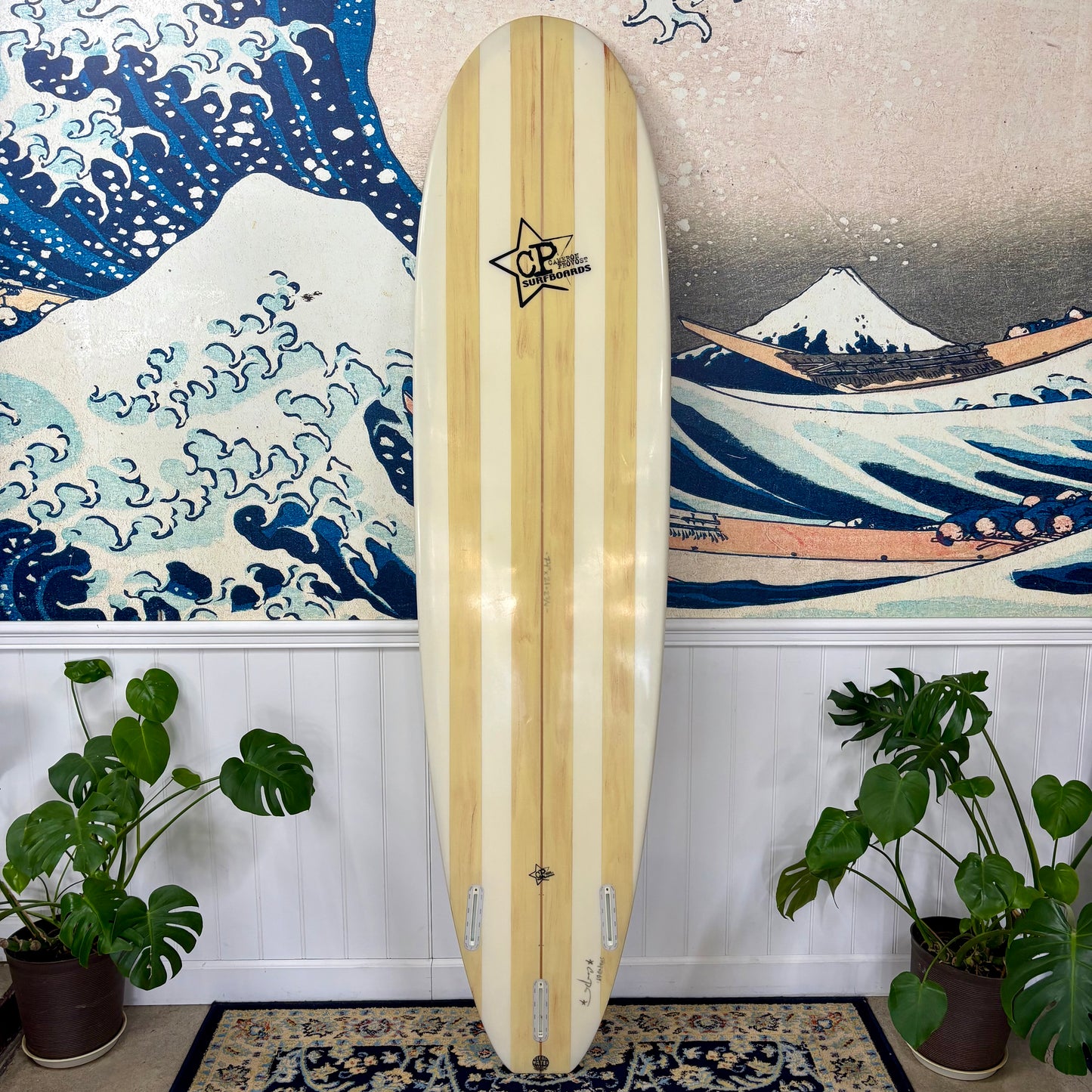Used Provost | 7'4" Egg