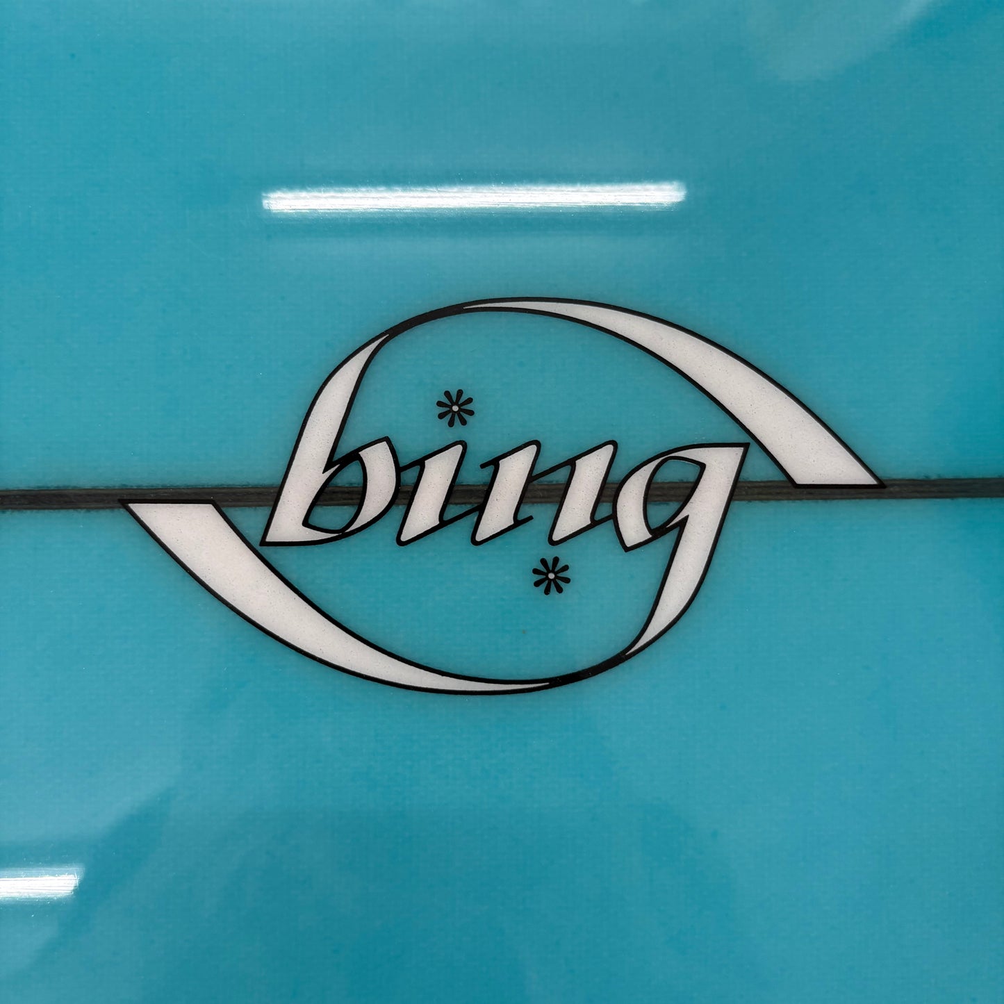 Bing | 6'10" Long Fish