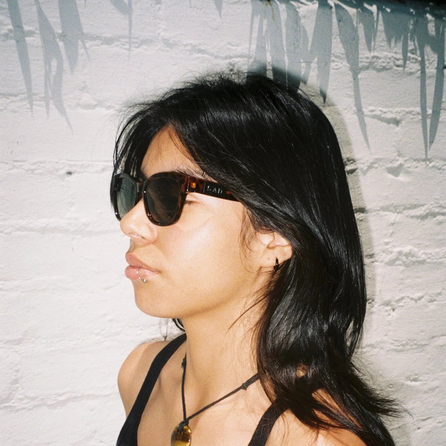 SAD Eyewear | Pony | Tortoise